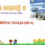 Công Nghệ 12 Kết Nối Tri Thức Bài 6 Ý Nghĩa Nhiệm Vụ Thực Trạng Của Việc Bảo Vệ Và Khai Thác Rừng