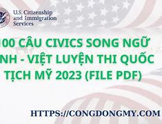 Cùng Học Tiếng Anh Thi Quốc Tịch Mỹ 2023 Online Application