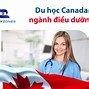 Định Cư Canada Diện Work Permit