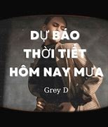 Dự Báo Thời Tiết Hôm Nay Mưa - Grey D