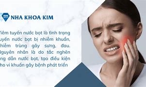 Tuyến Nước Bọt Có Chức Năng